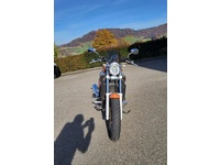 Bild 4: Yamaha Egli Vmax