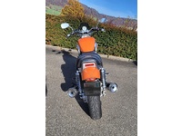 Bild 5: Yamaha Egli Vmax