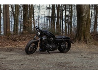 Bild 3: Harley-Davidson XL 1200 X Forty Eight Bild 3: Harley-Davidson XL 1200 X Forty Eight