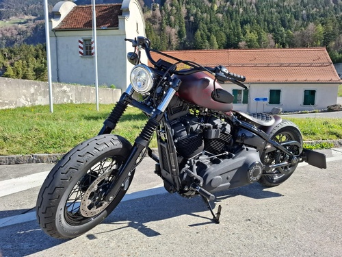Harley-Davidson FXST Softail Standard 107