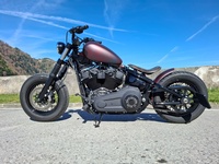 Bild 2: Harley-Davidson FXST Softail Standard 107