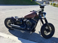 Bild 3: Harley-Davidson FXST Softail Standard 107