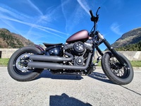 Bild 4: Harley-Davidson FXST Softail Standard 107