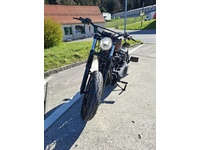 Bild 6: Harley-Davidson FXST Softail Standard 107