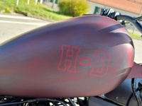 Bild 9: Harley-Davidson FXST Softail Standard 107