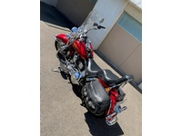 Bild 5: Harley-Davidson FLSTN Heritage Special