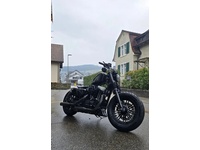 Bild 2: Harley-Davidson XL 1200 X Forty Eight ABS Bild 2: Harley-Davidson XL 1200 X Forty Eight ABS