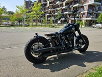 Bild 4: Harley-Davidson Softail Slim FLS Bild 4: Harley-Davidson Softail Slim FLS