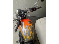 Bild 5: Triumph Bonneville SE 900 i
