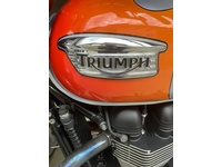 Bild 7: Triumph Bonneville SE 900 i