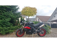 Bild 2: Triumph Speed Triple R 1050 ABS