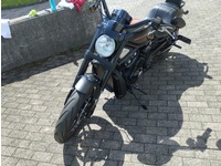 Bild 3: Harley-Davidson VRSCDX 1250 V-Rod Night Rod Special Bild 3: Harley-Davidson VRSCDX 1250 V-Rod Night Rod Special