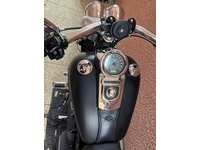 Bild 3: Harley-Davidson FXDF Dyna Fat Bob 103 ABS C