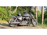 Bild 3: Harley-Davidson XL 883 Sportster Injection