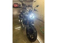 Bild 3: Ducati Scrambler 803 Icon