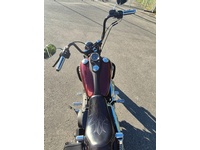 Bild 3: Harley-Davidson FXDB Dyna Street Bob ABS
