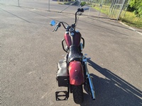 Bild 6: Harley-Davidson FXDB Dyna Street Bob ABS