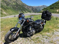 Bild 2: Harley-Davidson XL 1200 CB Sportster Custom ABS Bild 2: Harley-Davidson XL 1200 CB Sportster Custom ABS