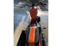 Bild 5: Harley-Davidson XL 883 Sportster Injection