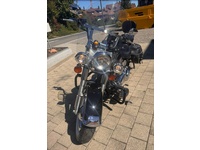 Bild 2: Harley-Davidson FLSTCI Softail Classic Bild 2: Harley-Davidson FLSTCI Softail Classic