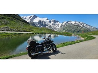 Bild 5: Harley-Davidson XL 1200 C Sportster Custom ABS Bild 5: Harley-Davidson XL 1200 C Sportster Custom ABS