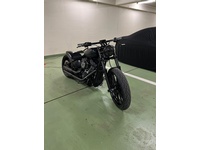 Bild 4: Harley-Davidson FXBRS Breakout 114